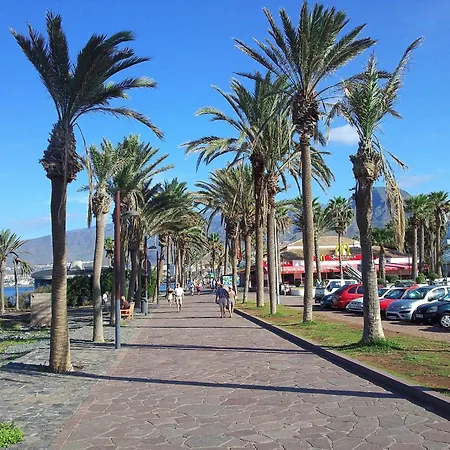 Apartmán Casa Palmera 2 By Interhome